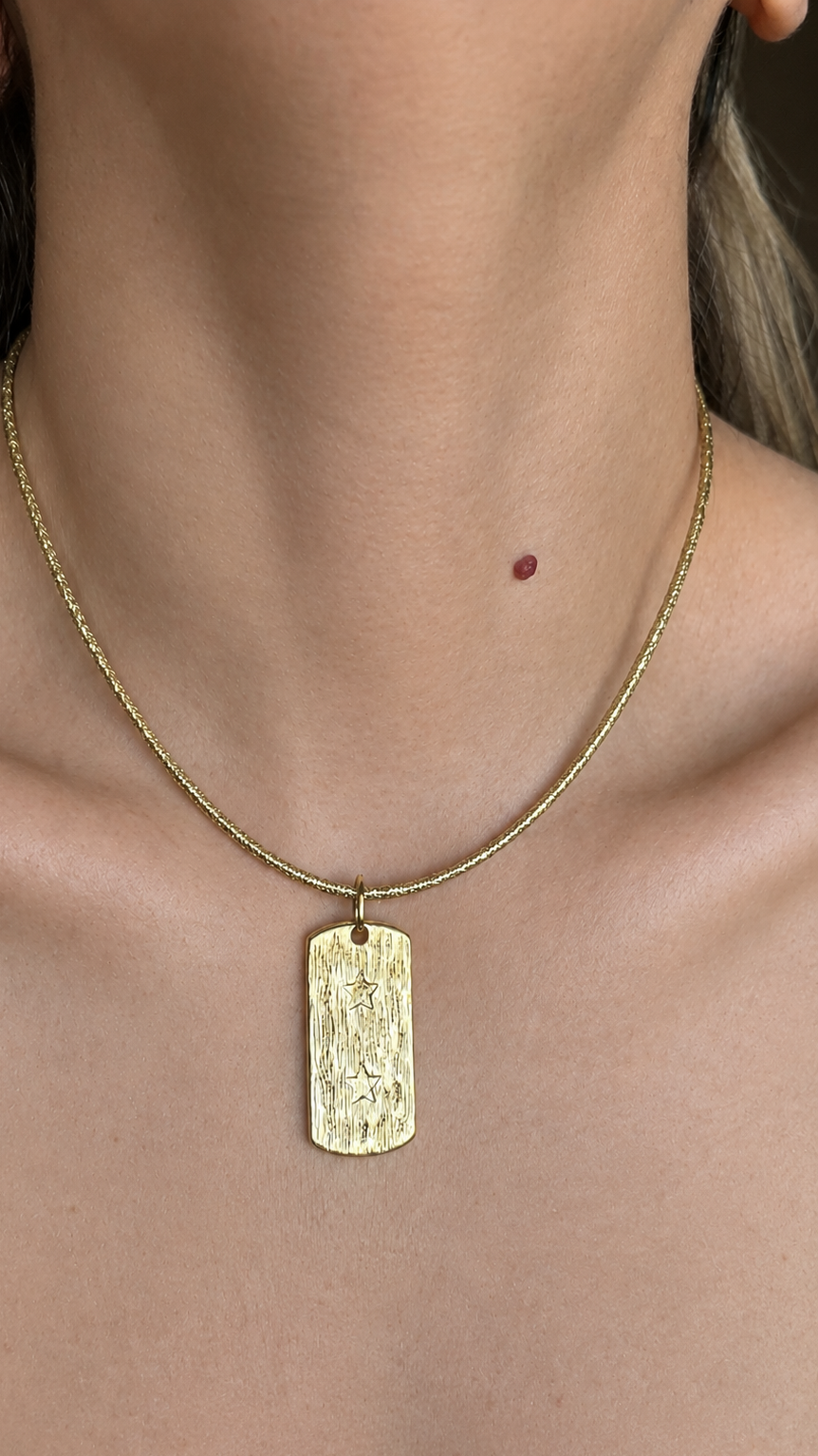 Collar imán placa