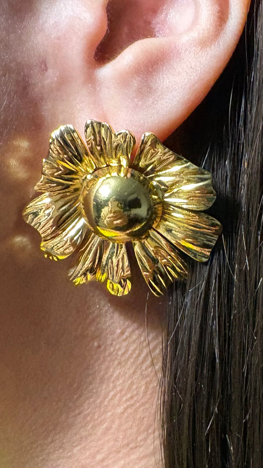 Aros Resplandor Floral