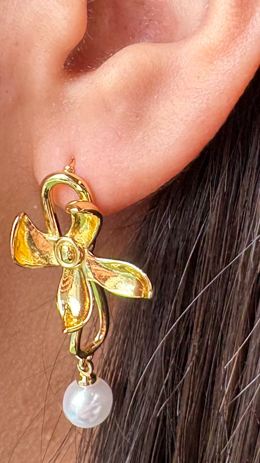 Aros Gabriela